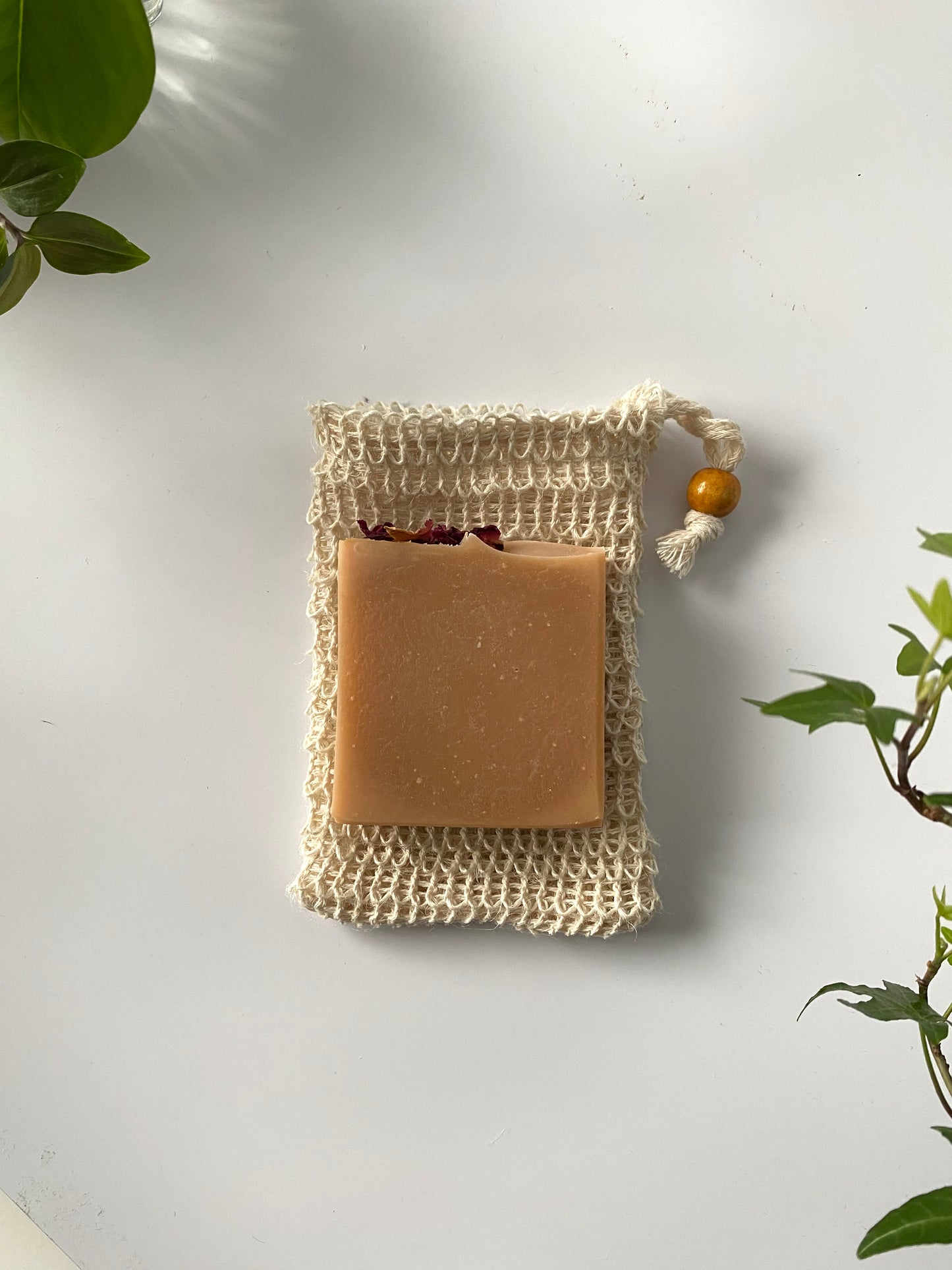 Exfoliating soap pouch